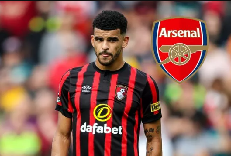 Dominic Solanke arsenal